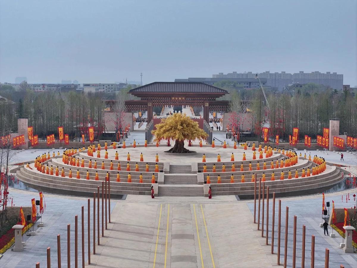 图片 9