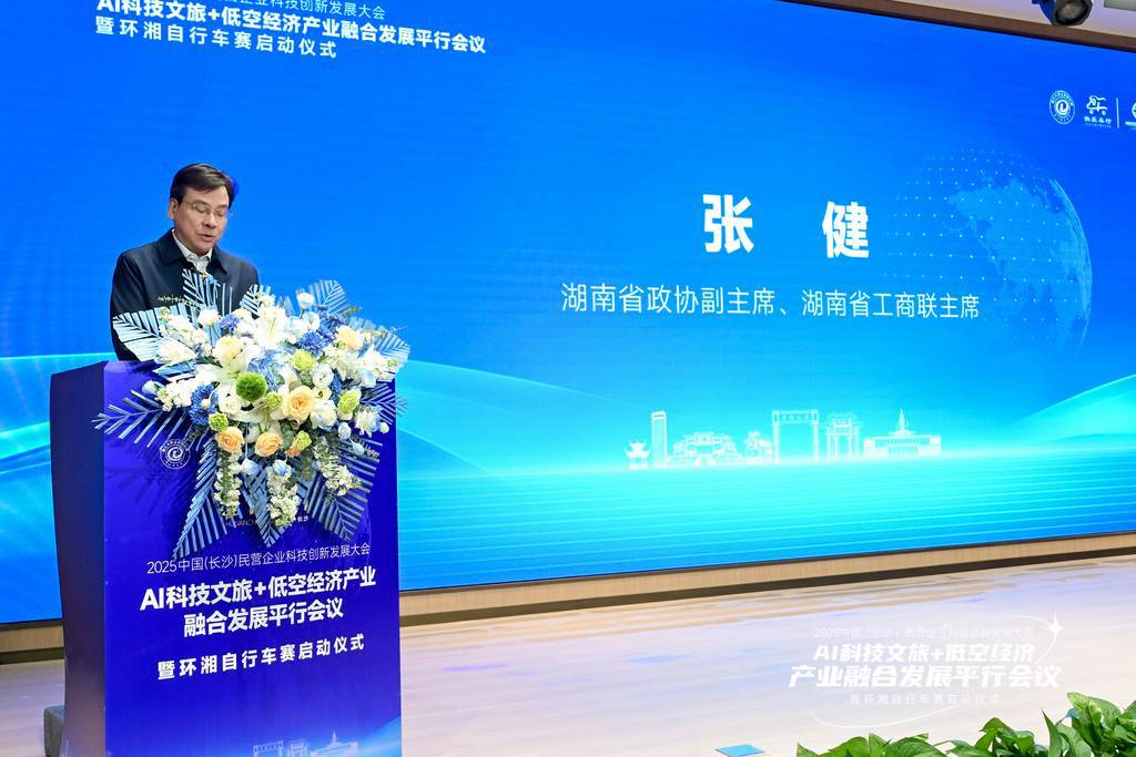 2025中国(长沙)民营企业科技创新发展大会AI 科技文旅+低空经济产业融合发展平行会议在长沙举行